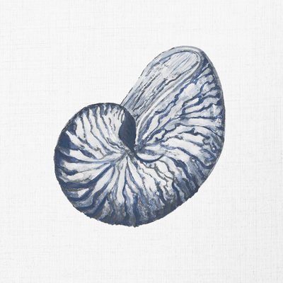 Image Not Available